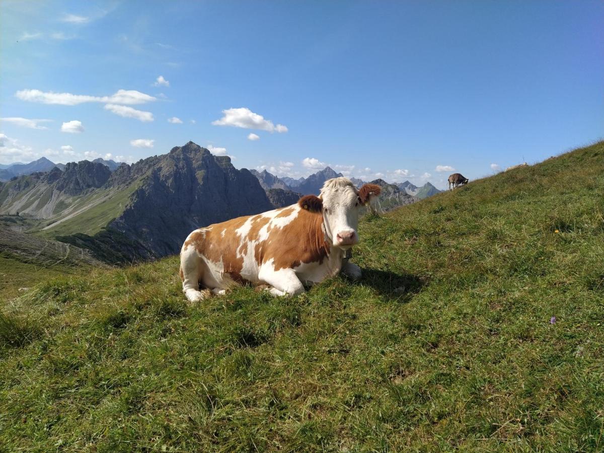 Ferienwohnung Zum Bartelt Hohenschwangau Esterno foto