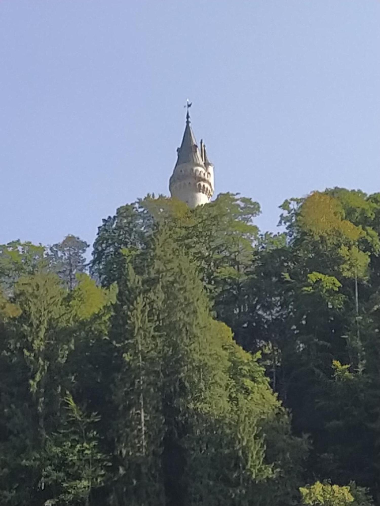 Ferienwohnung Zum Bartelt Hohenschwangau Esterno foto